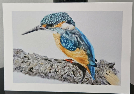 Kingfisher greetings card, A6 size, vibrant blue and orange