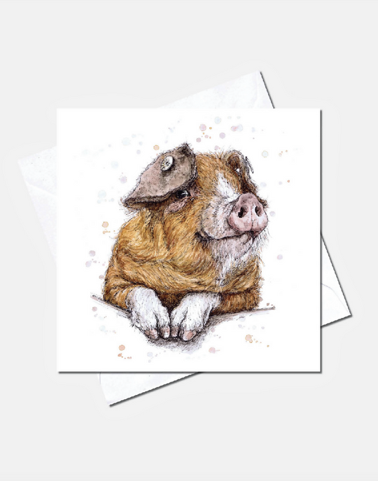 Hello Pumpkin |Greetings Card