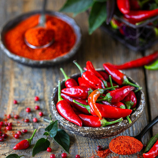 Chilli Plants, 'Basket of Fire', Plug Plant Pack