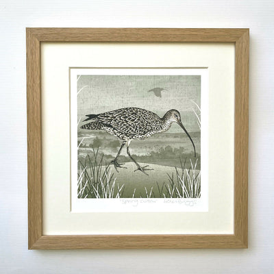 HBD021GPC Spring Curlew