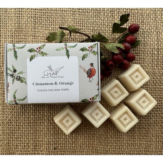 Cinnamon and Orange Christmas Wax Melts