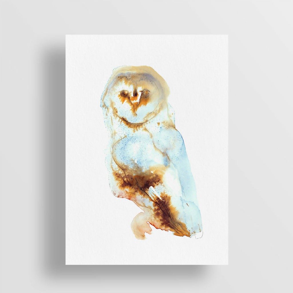 Barn Owl Ink & Watercolour Giclée Fine Art Print