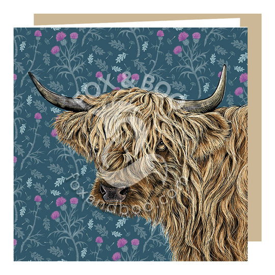Highland Cow Greeting Card