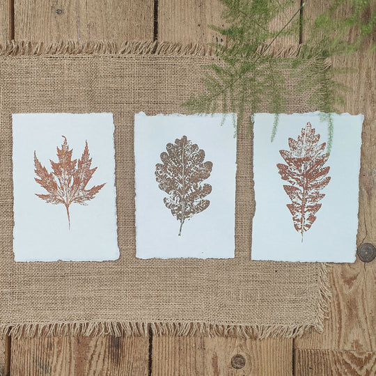 Set of 3 Original Mixed Leaf Prints