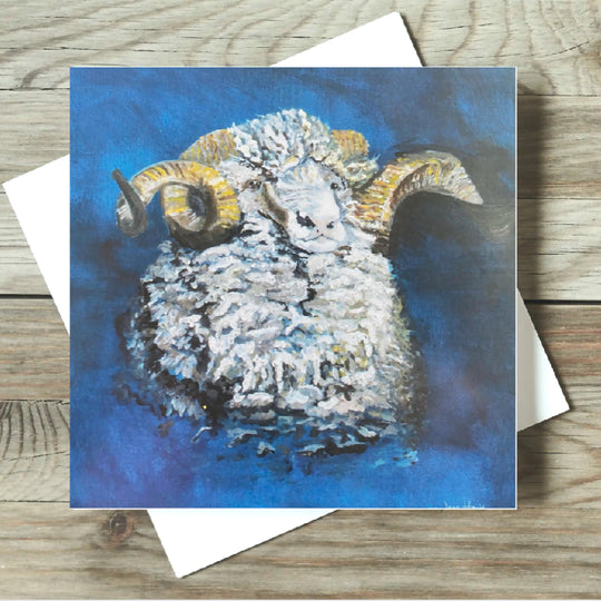 Merino Sheep
