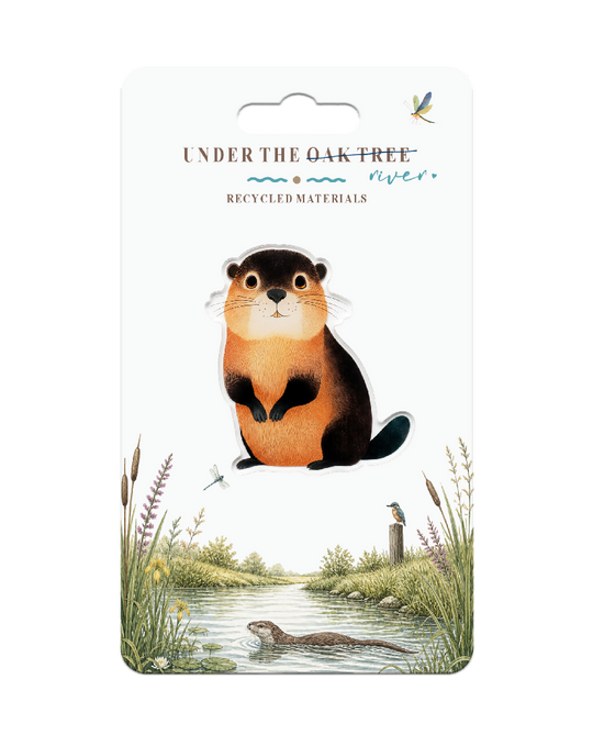 Badge - Beaver British Rivers Nature Wildlife Brooch Gifts