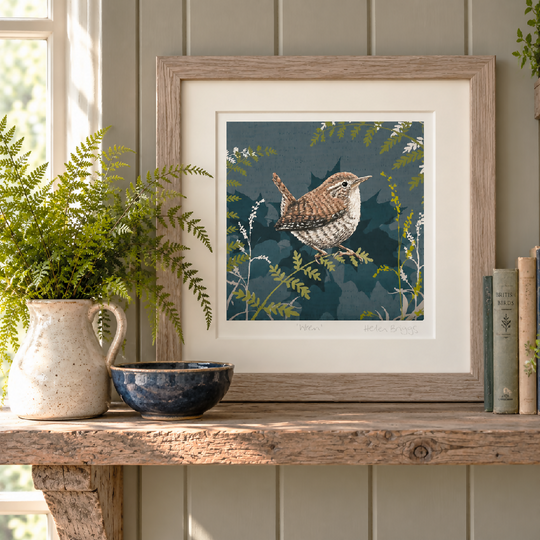 Navy Wren -Signed and mounted Giclée Art Print