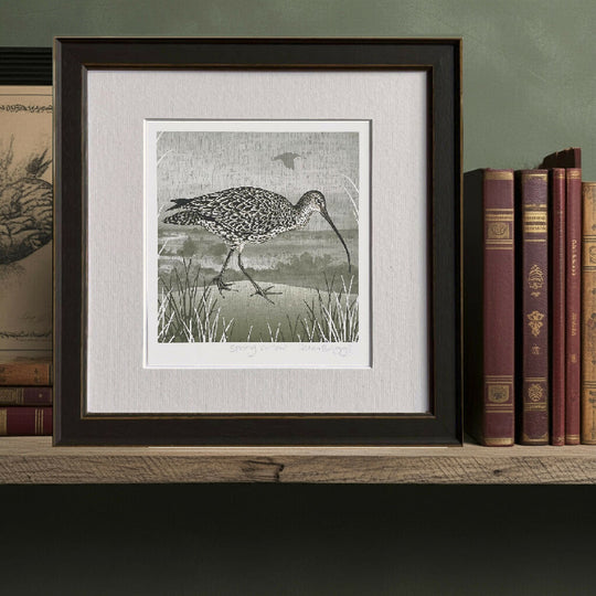 Curlew -Signed and mounted Giclée Art Print