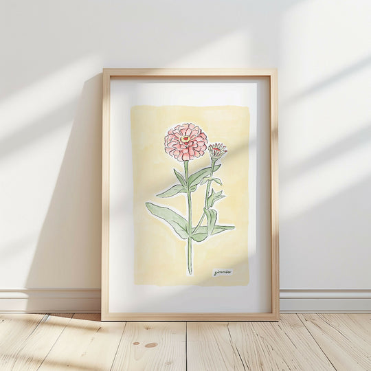 Zinnia Flower Illustration Print