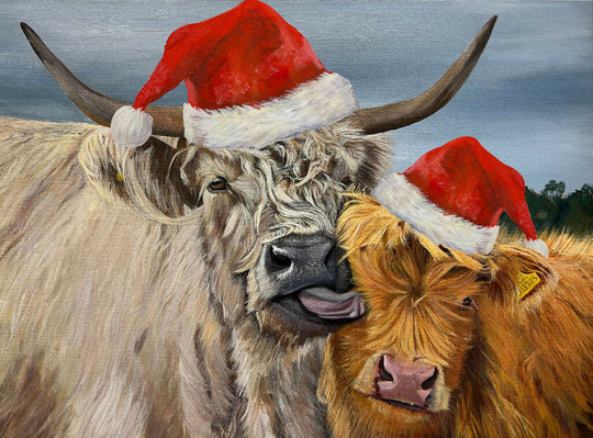'Bath Time' Highland Cow Christmas Card