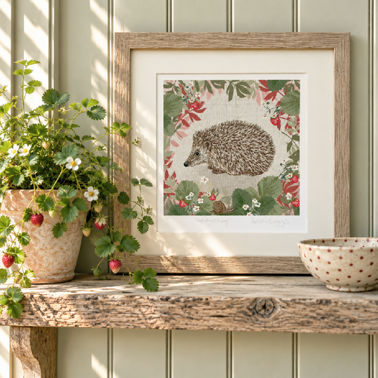 Hedgehog -Signed and mounted Giclée Art Print