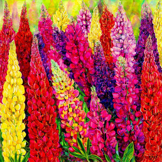 Lupins