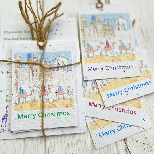 Plantable Seed Card Christmas 'Following the Star Gift Tags