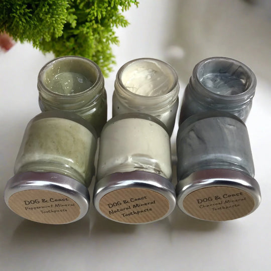 Natural Mineral Toothpaste for Dogs