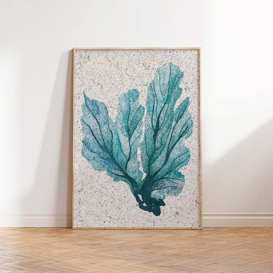 Sea Fan on Seaweed Paper