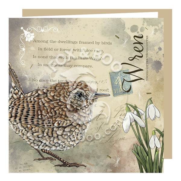 Greeting Card designed by Fox and Boo, from the Victorias's Attic Collection, featuring a wren and snowdrops against a collage backdrop of old postcards, stamps and prose.