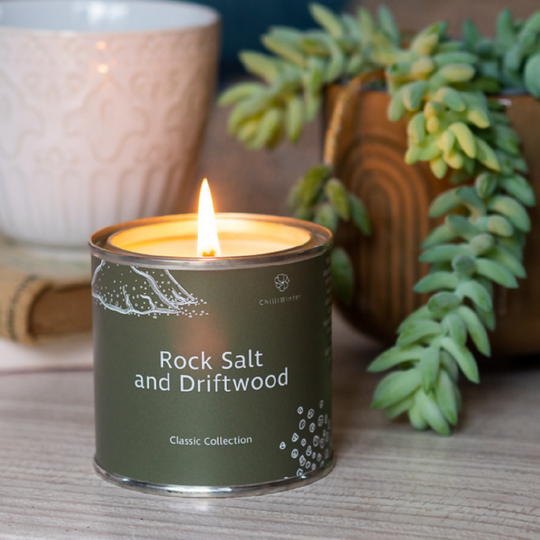 Rock Salt and Driftwood Candle or Wax Melts