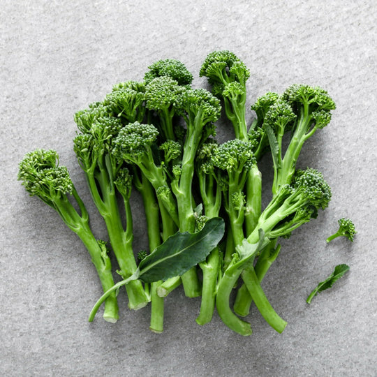 Broccoli Plants, 'Slenderstem', 12 x Full Plant Pack