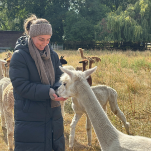 Scotfield Alpaca