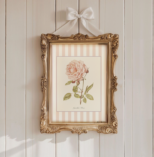 Pastel Pink White Striped Garden Rose Watercolor Print, Botanical Illustration Cottage Garden Artwork