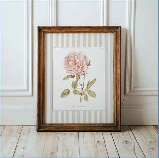 English Garden Rose Watercolor Print Botanical Illustration Cottage Garden Artwork Floral Wall Art