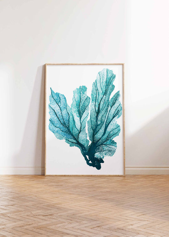 Sea Fan #1 Print