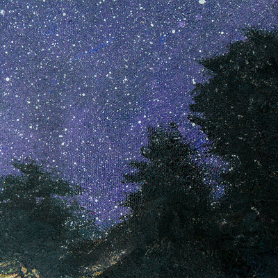 Starry Woodland Original Art