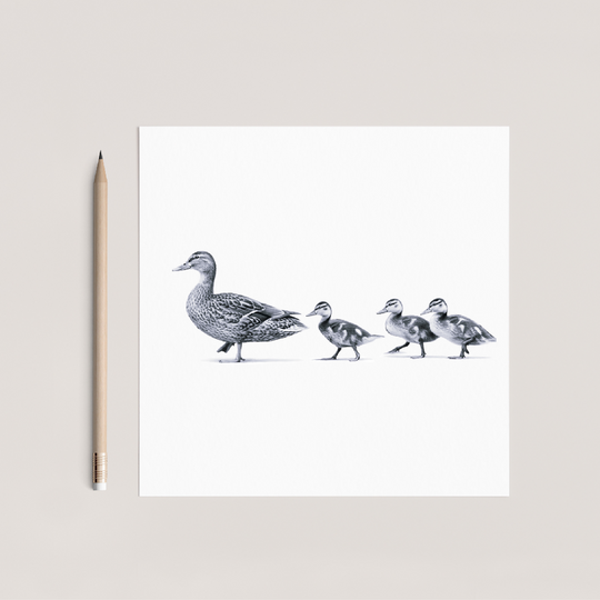 Ducks in a Row Greeting Card – Hand Drawn Cute Countryside Wildlife Illustration Card