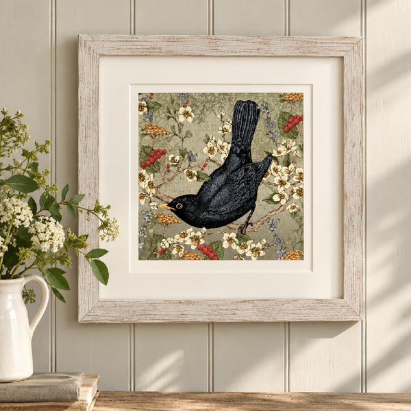 Blackbird Signed and Mounted Giclée Art Print