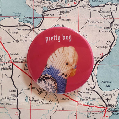 pretty boy budgie badge