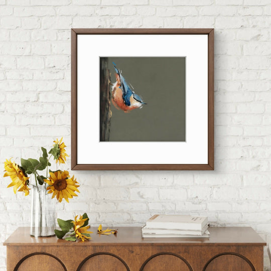 Quiet Climber Nuthatch Giclee Fine Art Print with Sage Green Background