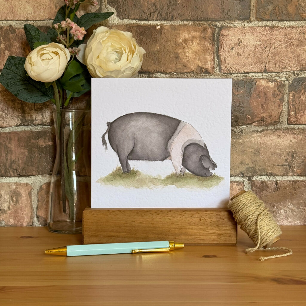 Saddleback Pig Greeting Card