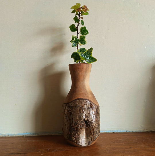 Bud Vase - hazel