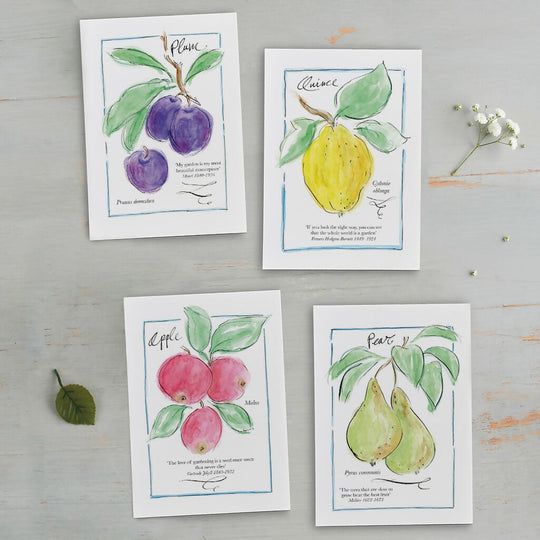 'My Allotment' Limited Edition Correspondence Set