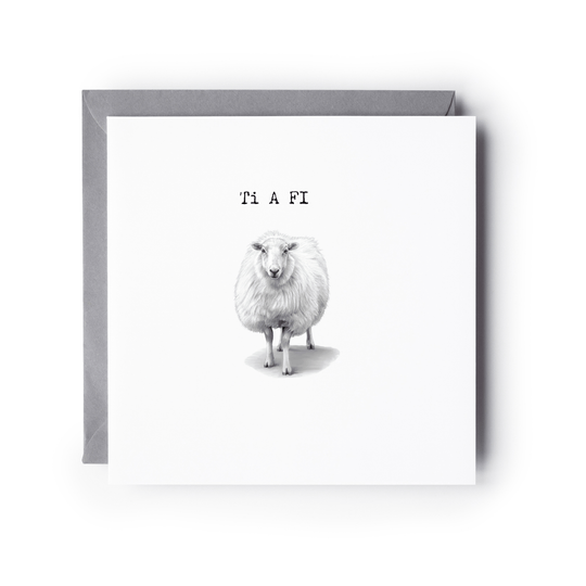 Ti A Fi Welsh Sheep Greeting Card