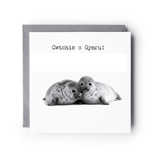 Cwtch o Gymru – Cute Seals Greeting Card