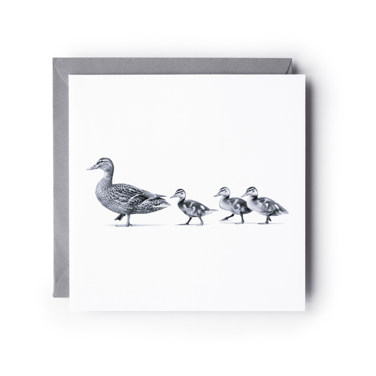 Ducks in a Row Greeting Card