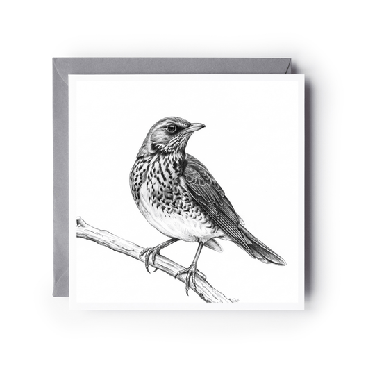 Thrush Hand-Drawn Greeting Card