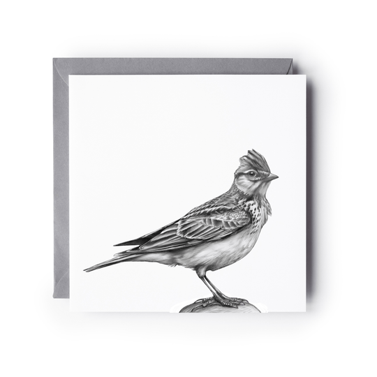 Skylark Hand-Drawn Greeting Card
