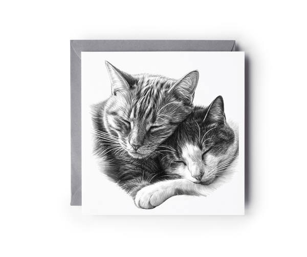 Snuggle Cats Cat Love Greeting Card