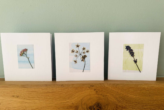Set of 3 handmade real pressed flower cards