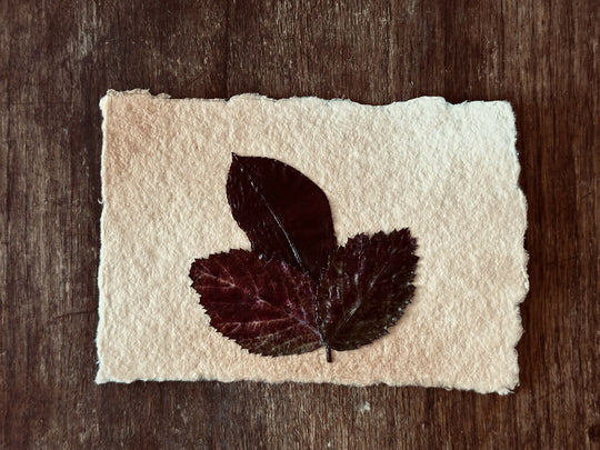 Landscape Autumn Themed Vintage Red Leaf Collage