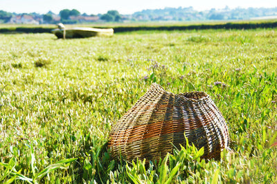 Organic, Sculptural Basket in Mixed Willow