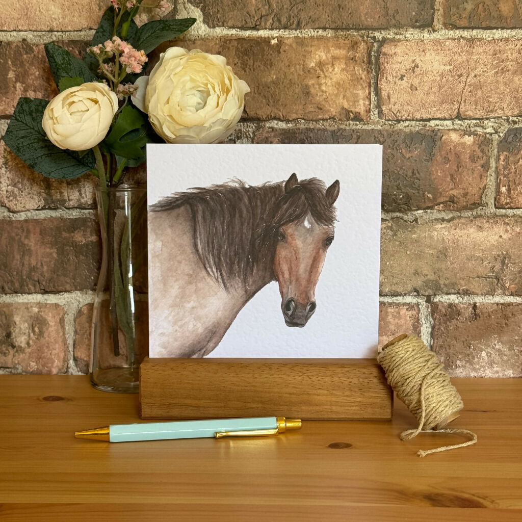 New Forest Pony Greeting Card