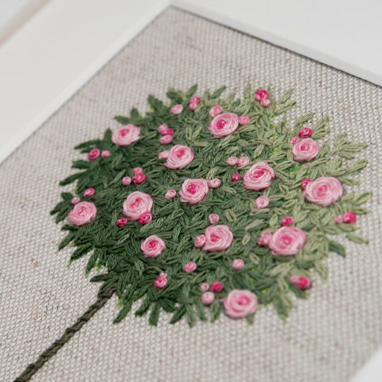 Standard Rose Tree - Pink