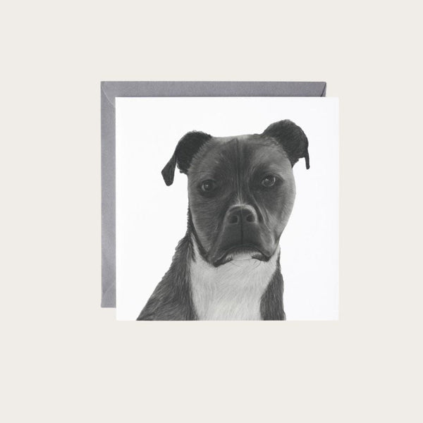 Staffy Cross Jabbah Greeting Card