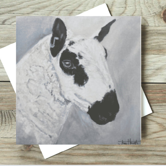 Kerry Hill Sheep Card