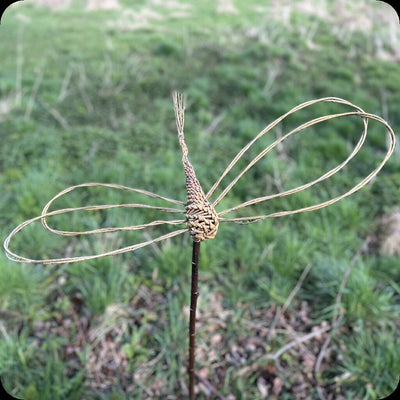 Willow Dragonfly Kit