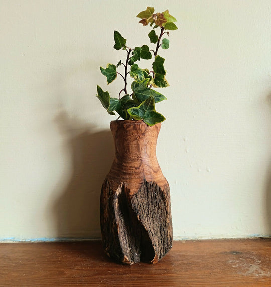 Bud Vase - staghorn oak