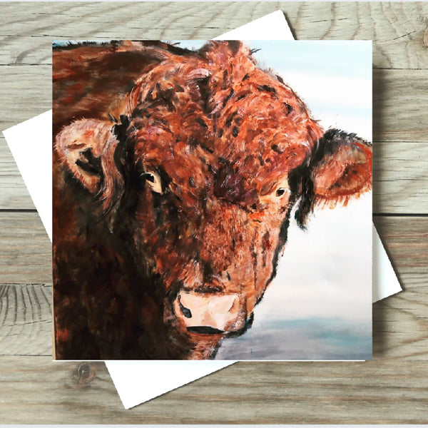 Lincoln Red Bull Card
